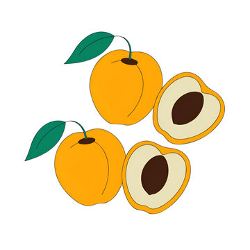 realistic fruits composition with images of whole