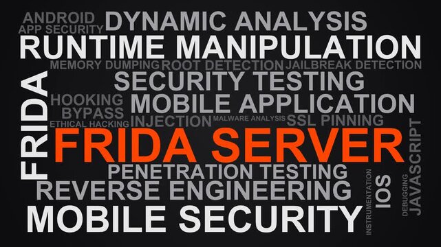 Frida Server Word Cloud