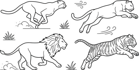 Wild big cats line art vectors set with running cheetah jumping cougar tiger and walking lion safari wildlife © Hafizul