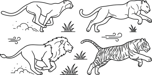 Wild big cats line art vectors set with running cheetah panther tiger and charging lion safari wildlife animals © Hafizul