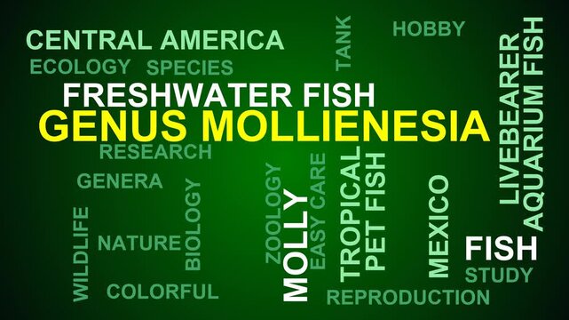 Genus Mollienesia Word Cloud