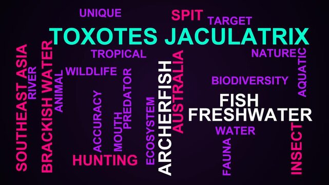 Toxotes Jaculatrix Word Cloud