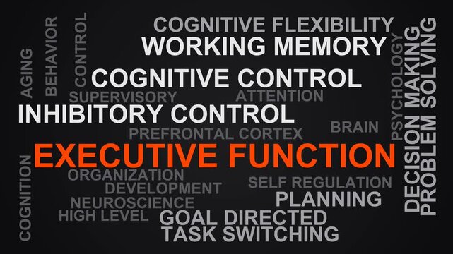 Executive Function Word Cloud
