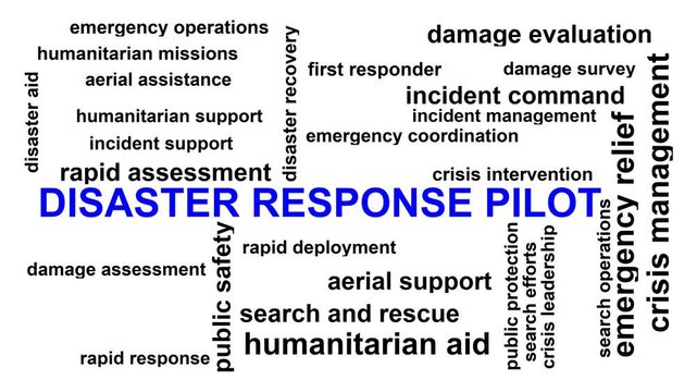 Disaster Response Pilot Word Cloud