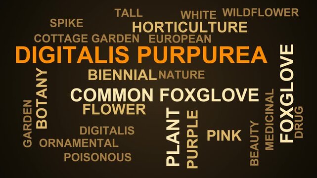 Digitalis Purpurea Word Cloud