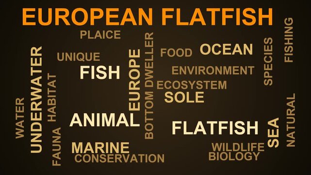 European Flatfish Word Cloud