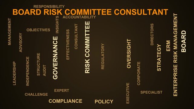 Board Risk Committee Consultant Word Cloud