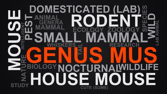 Genus Mus Word Cloud