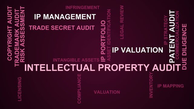 Intellectual Property Audit Word Cloud