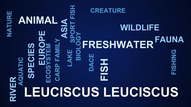 Leuciscus Leuciscus Word Cloud