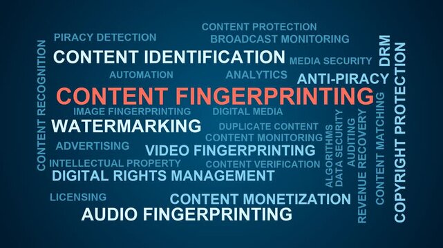 Content Fingerprinting Word Cloud