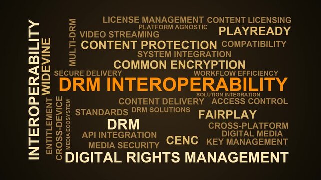 Drm Interoperability Word Cloud