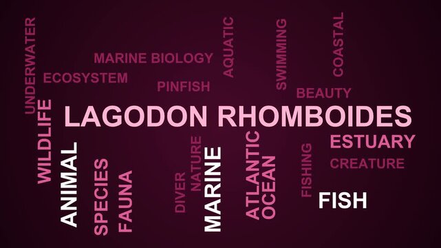 Lagodon Rhomboides Word Cloud