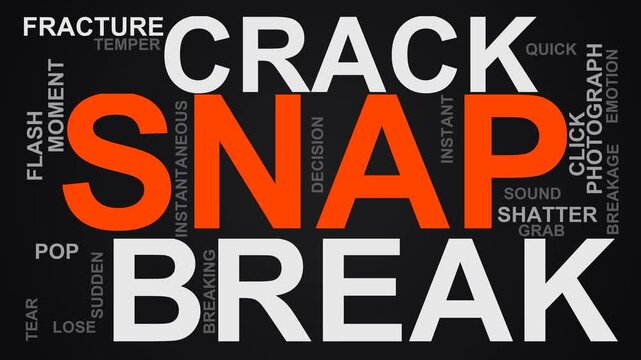 Snap Word Cloud