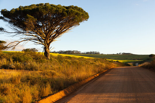 country road and beautiful rolling fields of  Stanford, South Africa at sunset