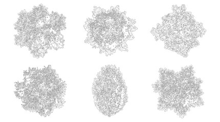 Set of six top view trees isolated on transparent background cutout © ArifulHaq