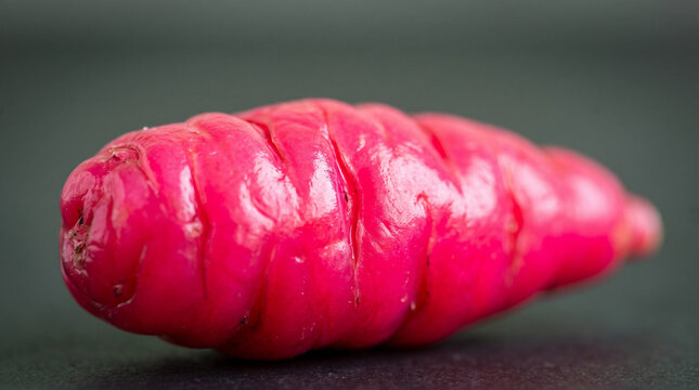 Bright pink raw Oca root tuber resting on a dark slate surface