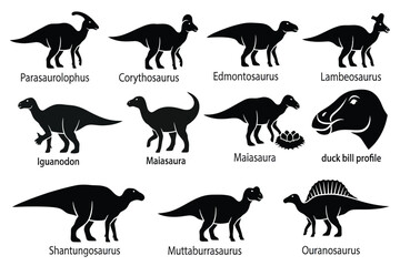 Diverse Dinosaur Skeletons Displayed in Museum Exhibit with Educational Display © Rashedul Haque Sakib