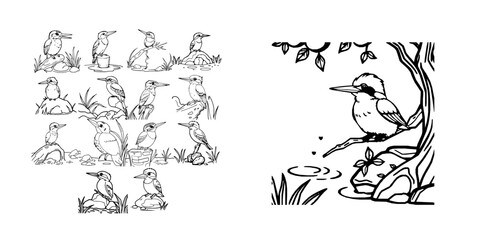 Obraz premium Happy Kingfisher Sitting Above A Stream Simple Black Outline Coloring Page Thick Clean Lines Bold Coloring Page Kid Drawing Pack