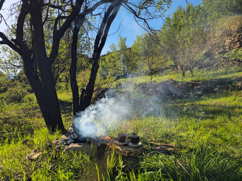 Smoke drifts from a small campfire beneath old trees, with kettles and tea cups resting on a stone beside the flames amid lush green grass and rolling hills.
📍 Hawraman Takht, Kurdistan, Iran 
