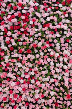 Artificial pink white red rose flower wall, floral wedding backdrop decoration