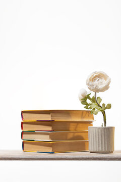 Abstract Collection of hardcover books and a small floral arrangement for educational or lifestyle-themed web banners. copy space