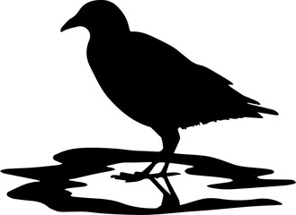 Obraz premium Black Silhouette of a Bird Standing on a Puddle Vector Illustration