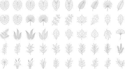 Fototapeta premium Hand drawn botanical leaf collection featuring various tropical and forest foliage elements in a simple line art style