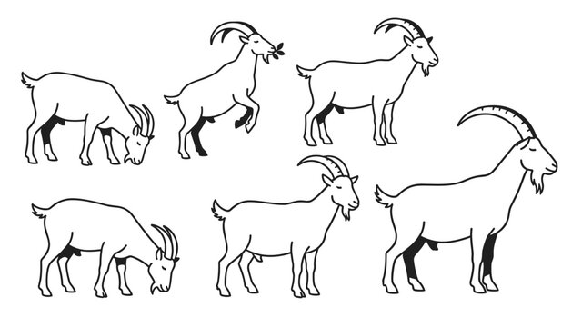 Goats outline drawings set showing farm animals in various poses like grazing, standing, eating leaves, and climbing.