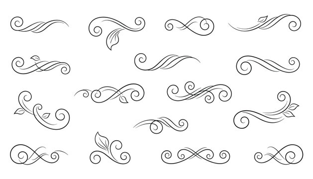 Collection of elegant hand drawn calligraphic flourishes, scrolls, and ornamental divider elements with leaves on a white background.