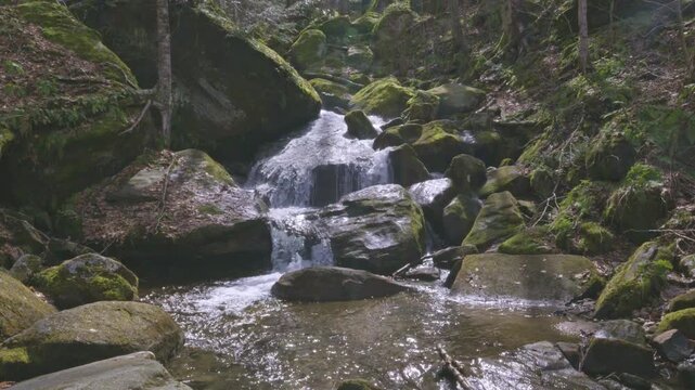 Bent Run Waterfall flowing through Allegheny National Forest