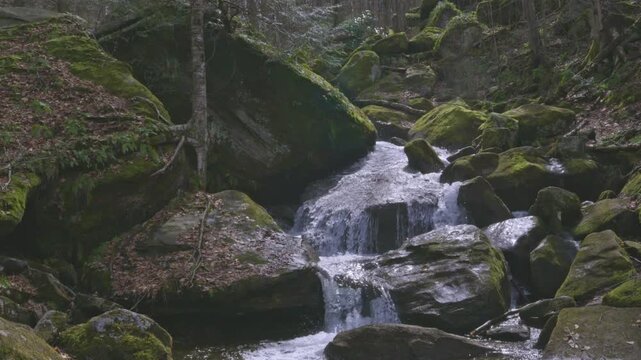 Bent Run Waterfall flowing through Allegheny National Forest