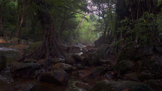 Mystical Rainforest River A serene river flows through a dense, ancient rainforest, with gnarled trees draped in vines and mossy rocks lining the banks. The atmosphere is tranquil and mysterious.