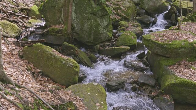 Bent Run Waterfall flowing through Allegheny National Forest
