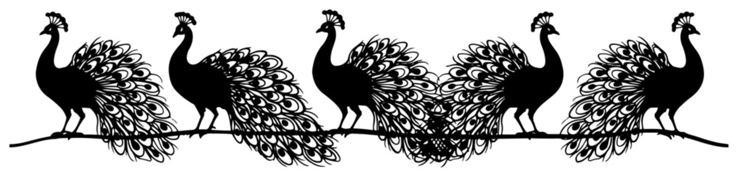 Peacock bird silhouettes with detailed tail feathers arranged in decorative horizontal borders