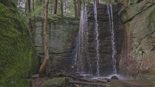 Hector Falls cascading through Allegheny National Forest wilderness