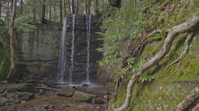 Hector Falls cascading through Allegheny National Forest wilderness