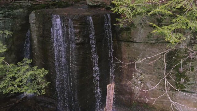 Hector Falls cascading through Allegheny National Forest wilderness