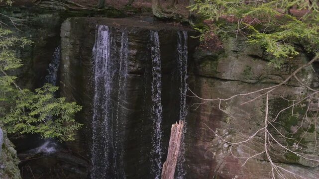 Hector Falls cascading through Allegheny National Forest wilderness