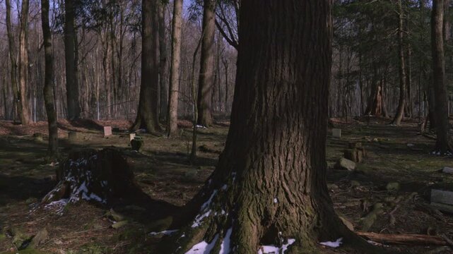 Historic Lily Dale Spiritualist community in upstate New York