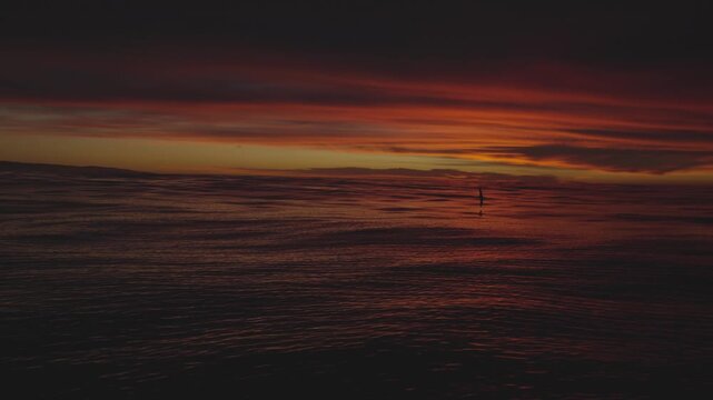 Perfect Ocean Sunrise with Albatros Moody scene. 