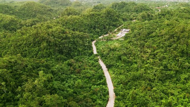 Panoramic aerial overview of a winding road cutting through dense tropical jungle, lush hills, and vibrant greenery in Catanduanes, Philippines
