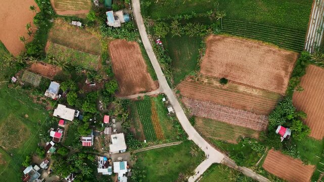 Aerial top-down shot of a rural road winding through farmlands, small homes, and tropical greenery in Catanduanes, Philippines