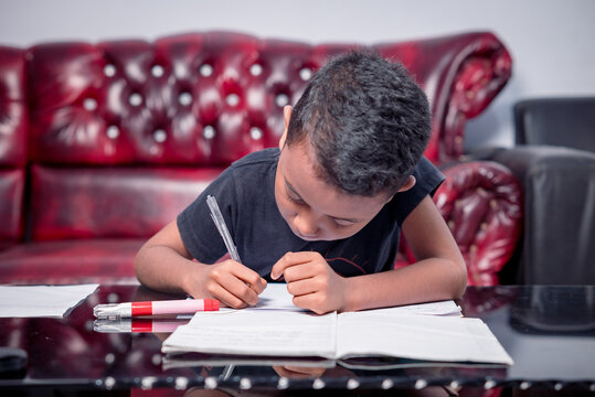 Asian boy focuses on studying using laptop in living room of house