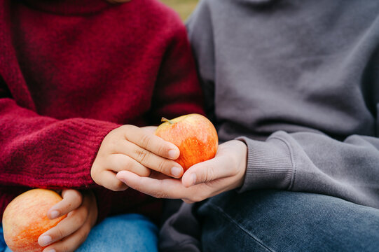 Close-up of children sharing fresh apples