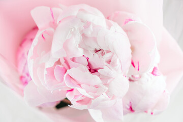 Fototapeta premium a bouquet of soft pink peonies wrapped in pastel paper