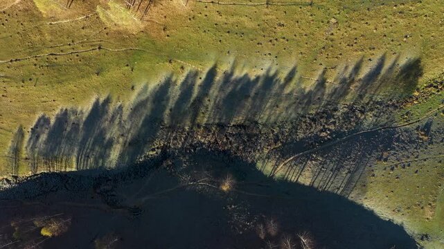 Aerial top down view of autumn trees shadow on green meadow 