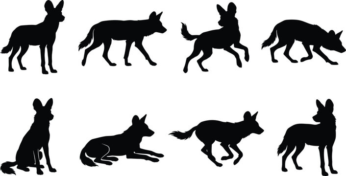 African Wild Dog Silhouette Bundle Collection with Standing Walking Running Sitting and Resting Wildlife Animal Poses