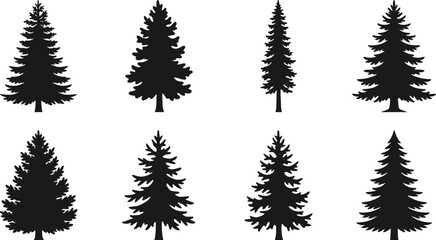 Fototapeta premium Evergreen Pine Tree Silhouette Collection Set Isolated on White Background with Conifer Forest Trees for Vector Landscape Design