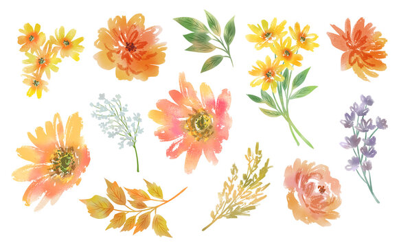 Watercolor-style Autumn botanical clipart set with autumn wildflowers and leaves for greeting cards, seasonal design, and surface design